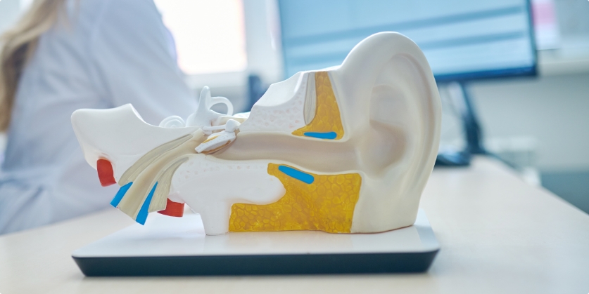 Hearing Solutions Audiology Center Blog